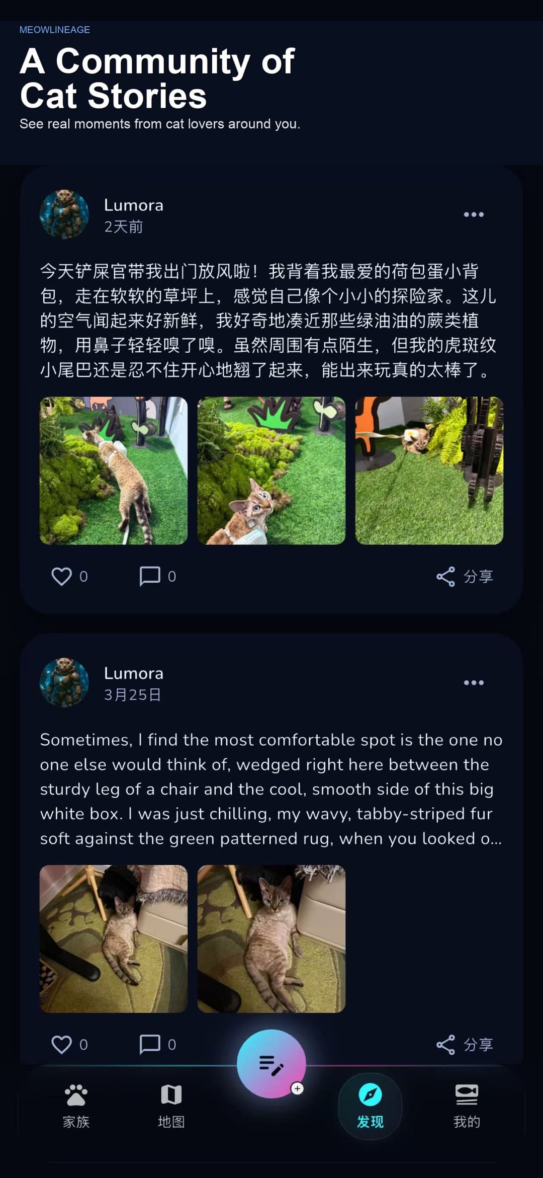 Community stories preview
