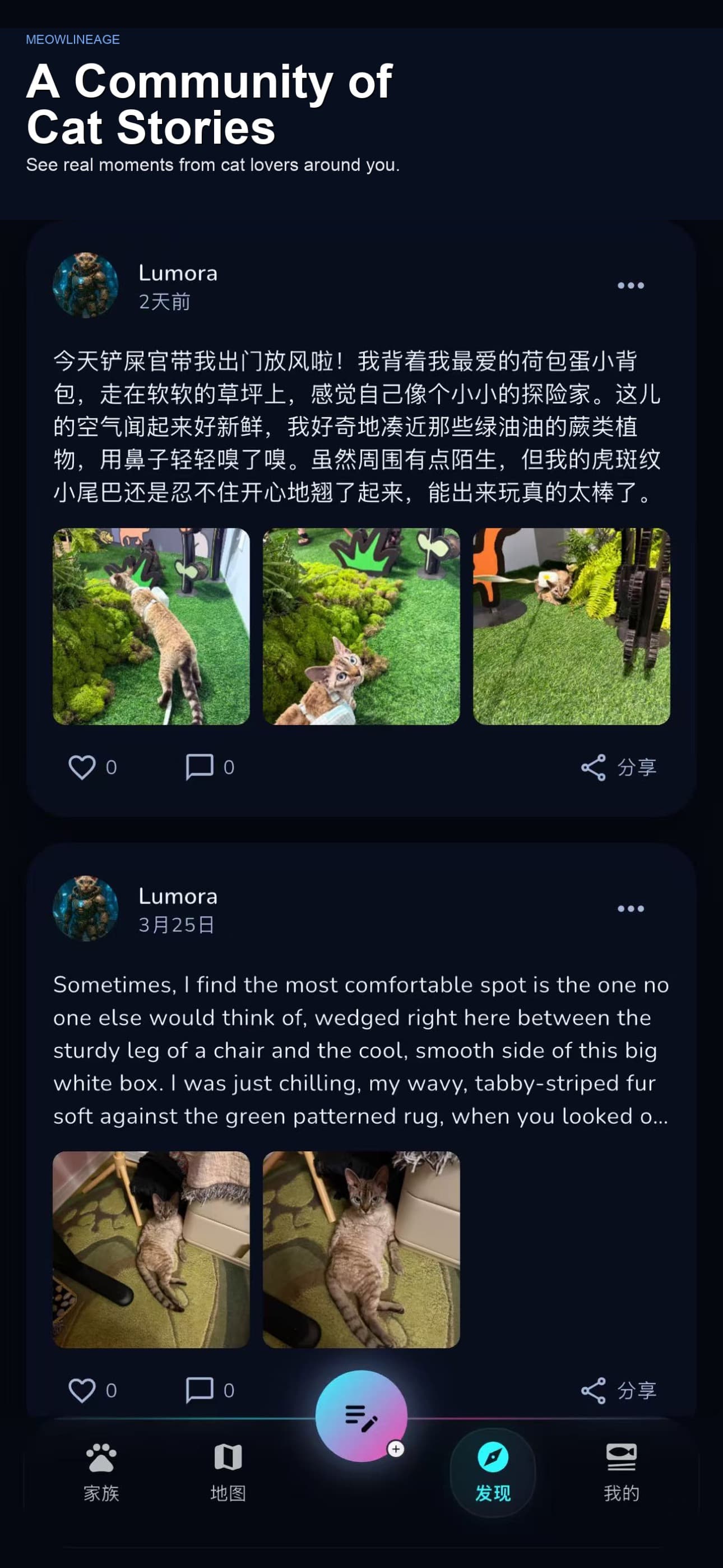 What stays with people is not pet management. It is the chance to remember a whole life.