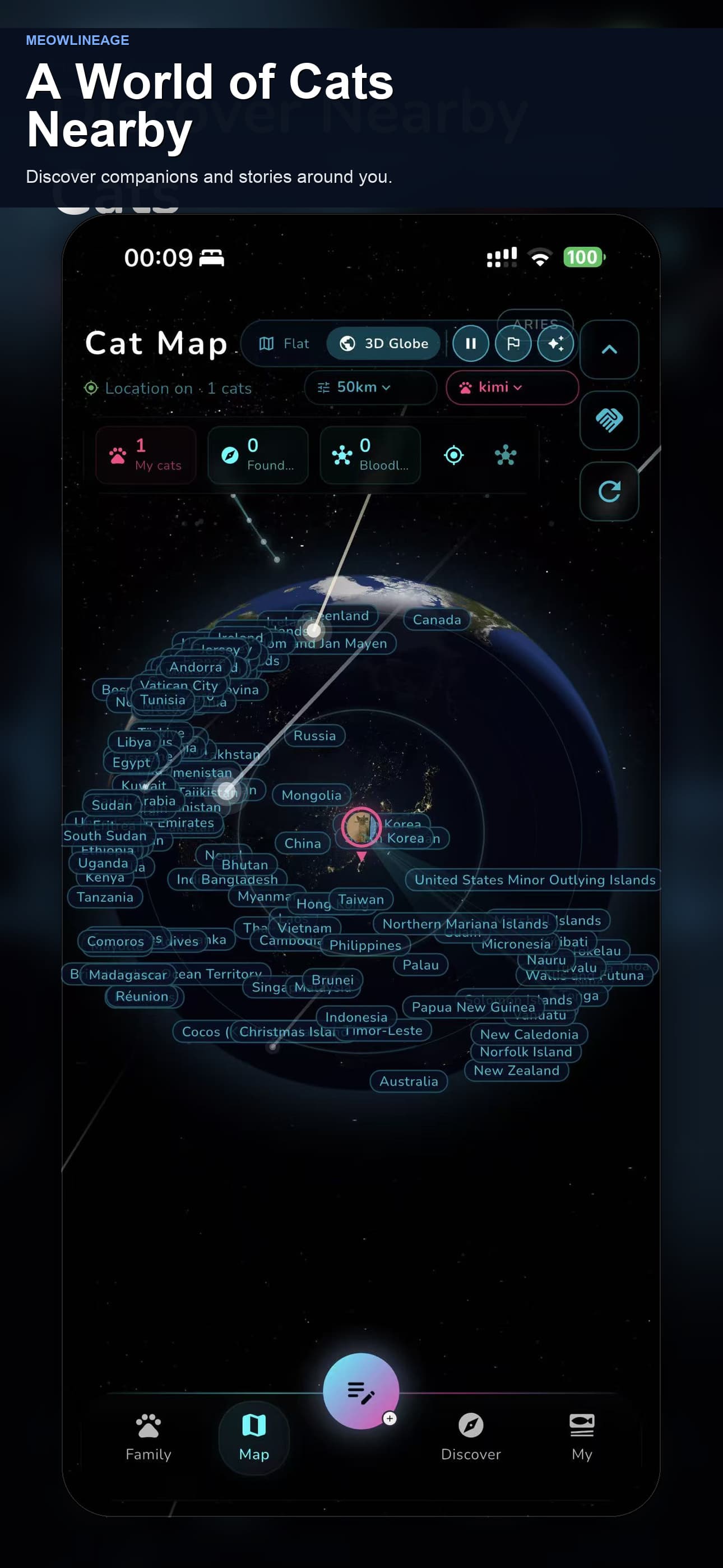 Your cat may have siblings somewhere else in the world.