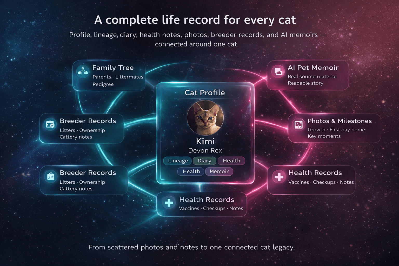 MeowLineage 完整猫咪档案关系预览图